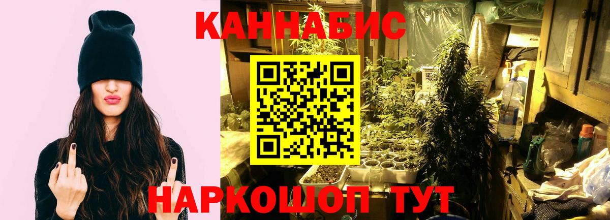 Конопля планчик Серпухов